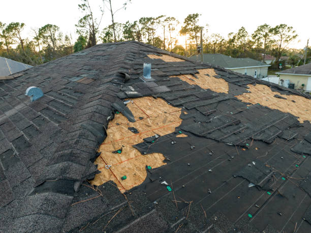 Best Roof Coating and Sealing  in Milford, NE