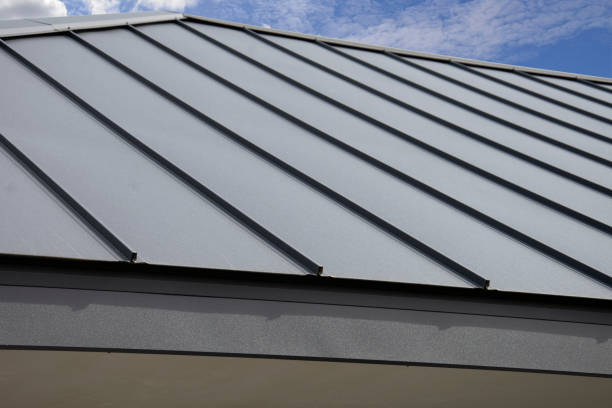Best Commercial Roofing Services  in Milford, NE