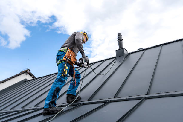 Best Sheet Metal Roofing  in Milford, NE
